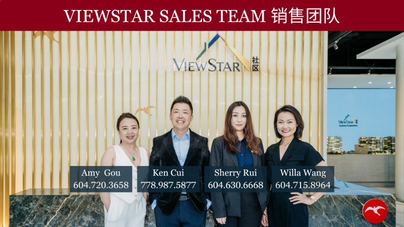 260602110011_Viewstar sales team 销售团队 2.png